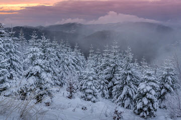 Farbenfroher Abendhimmel über dem winterlichen Schwarzwald, Bad Herrenalb, Baden-Württemberg,...