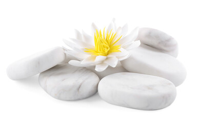Fototapeta na wymiar Beautiful lotus flower and stones on white background
