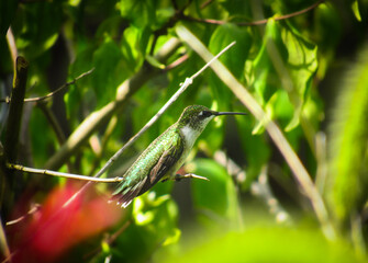 Just humming away...