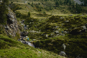 Day Hikers Crossing Stream in Alpine Forest