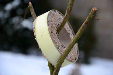 feeding birds on the feeder using sunflower, millet, flax, feeder, bowl, snowdrift, tallow in the...