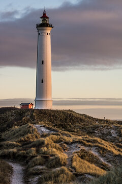 Leuchtturm Architektur Landschaft Dänemark Meer Küste Licht Ozean 