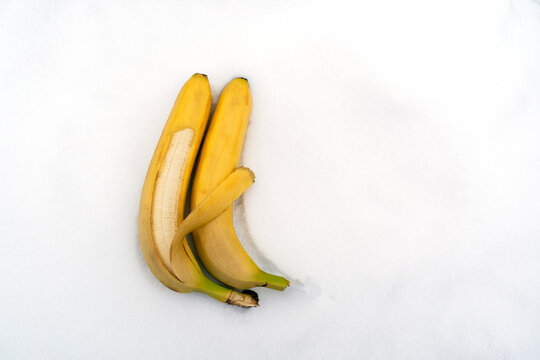 Two Bananas In The Snow Lie In An Embrace, The Concept Of A Small Harvest And A Shortage Of Bananas