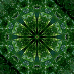 Colorful kaleidoscope.