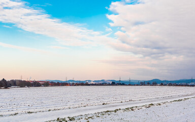 Winter panorama landscape, blue sky over snowy arable.