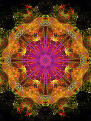 Colorful kaleidoscope.