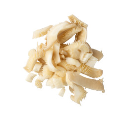 Raw Fresh Oyster Mushrooms, Pleurotus or Abalone Mushrooms