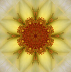Colorful kaleidoscope.