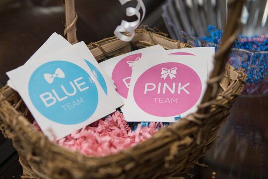 Choose A Boy Or Girl Blue And Pink Stickers Gender Reveal Party Decorations