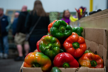 Vibrant peppers stacked in a container at a food market