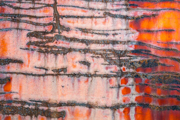 Details of rust and paint on metal.