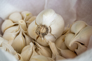 garlic on a white background