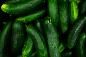 Pile of Green cucumbers