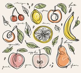 Vector minimalistic linear illustration made of one line. Fruits and vegetables  - 413011417