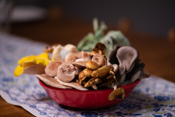 Various Kinds of Mushrooms for cooking