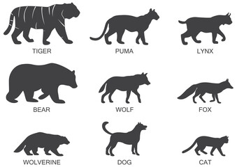 Silhouettes of predatory animals, icon set. Vector illustration on a white background.