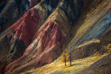 Colorful mountain, Mars valley, Altai.