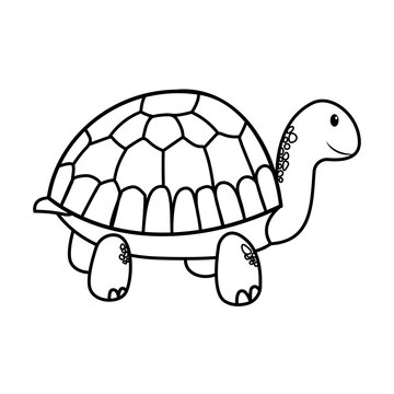 Outline cartoon turtle isolated on white background. Coloring page.