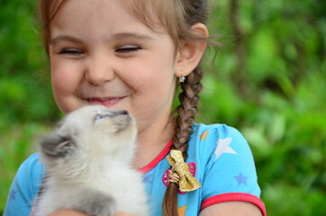 Little girl with a kitten in hands close up. Best friends. Interaction of children with pets.