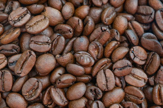 macro shot of coffee beans