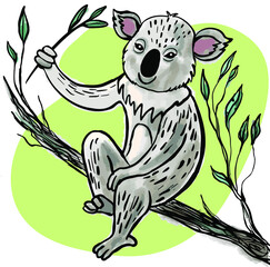 Koala bear sits on a branch and eats eucalyptus leaves. Vector illustration.
