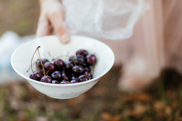 plate with cherries in hand, at a picnic