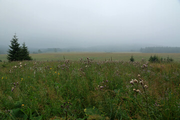 Landscape of Beniowa - former, abandoned village in Bieszczady Mountains in Poland