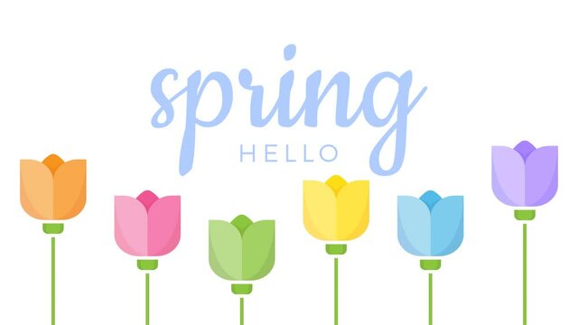 Flower Boquet Animated Icon. 4k Animated Icon to Improve Project and Explainer Video . Hello Spring concept . Alpha matte.