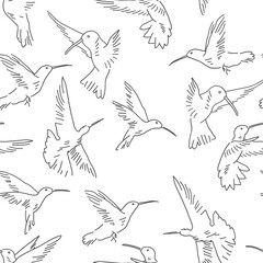 Hummingbird seamless pattern. Exotic theme vector background