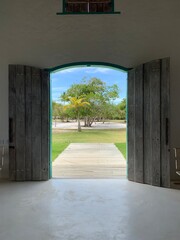 Open door looking outside garden