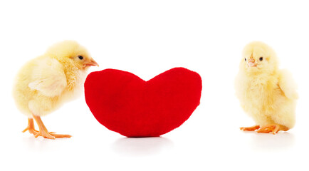 Two little yellow chickens with a red heart.