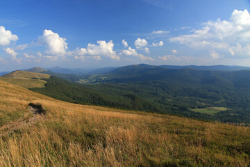 Fototapeta na wymiar Landscape of Polonina Wetlinska, Bieszczady National Park, Poland 