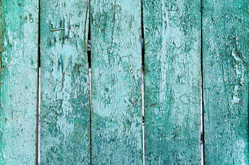 Fototapeta na wymiar old wooden fence with cracked blue paint texture 