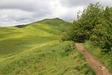 Fototapeta premium Landscape of Polonina Wetlinska, Bieszczady National Park, Poland 