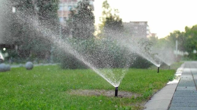 Water sprinklers for irrigation