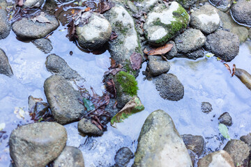 Grey stones overgrown with moss in the water with blurry background, used as a background or texture, soft focus