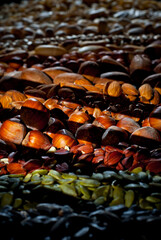 Fototapeta na wymiar Many kinds of nuts close up. Heap of nuts on a black wooden board. Nuts are stacked on the table. Contrasting dramatic light as an artistic effect.