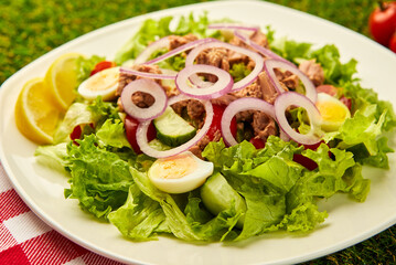 Tuna Fish Salad with Lettuce, Cherry Tomatoes, Cucumber and Onion on green grass background. Italian or Mediterranean cuisine