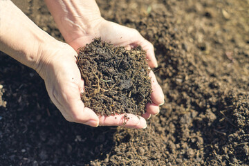 Fresh soil in two hands with sunlight. Recycling trash to compost