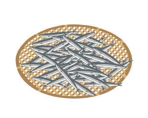 キビナゴ　ざる　線無し