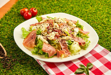 Salad with roasted ham and prosciutto on green grass background