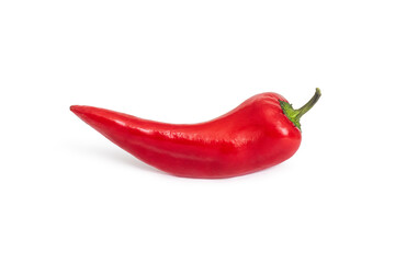 Pod of red chili peppers on a green stalk