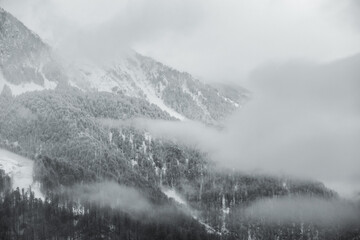 Fototapeta na wymiar fog in mountains