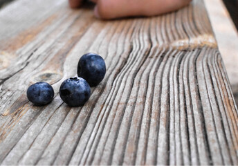 blueberries on wooden background