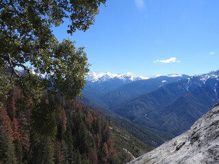 Obraz premium Spectacular view of the Sierra Nevada Mountains, Sequoia, and Kings Canyon National Park, California.