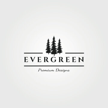 three pines logo vector evergreen minimalist symbol illustration design