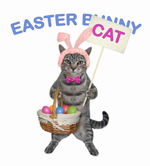A gray cat in pink easter bunny ears is standing with a basket of easter eggs. White background. Isolated.
