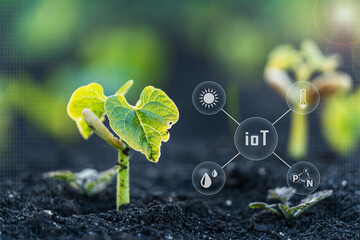 Internet of things industrial agriculture, various farm technology in the futuristic icon. Smart...