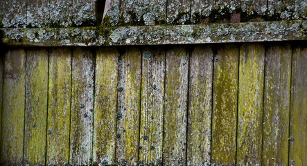 Background Green Molded Wooden Fence