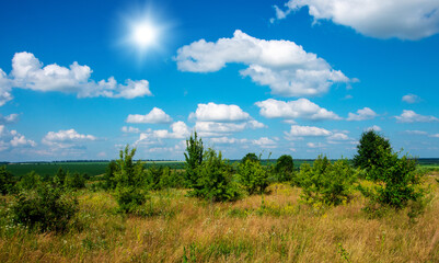 green meadow and blue sky with clouds in summer